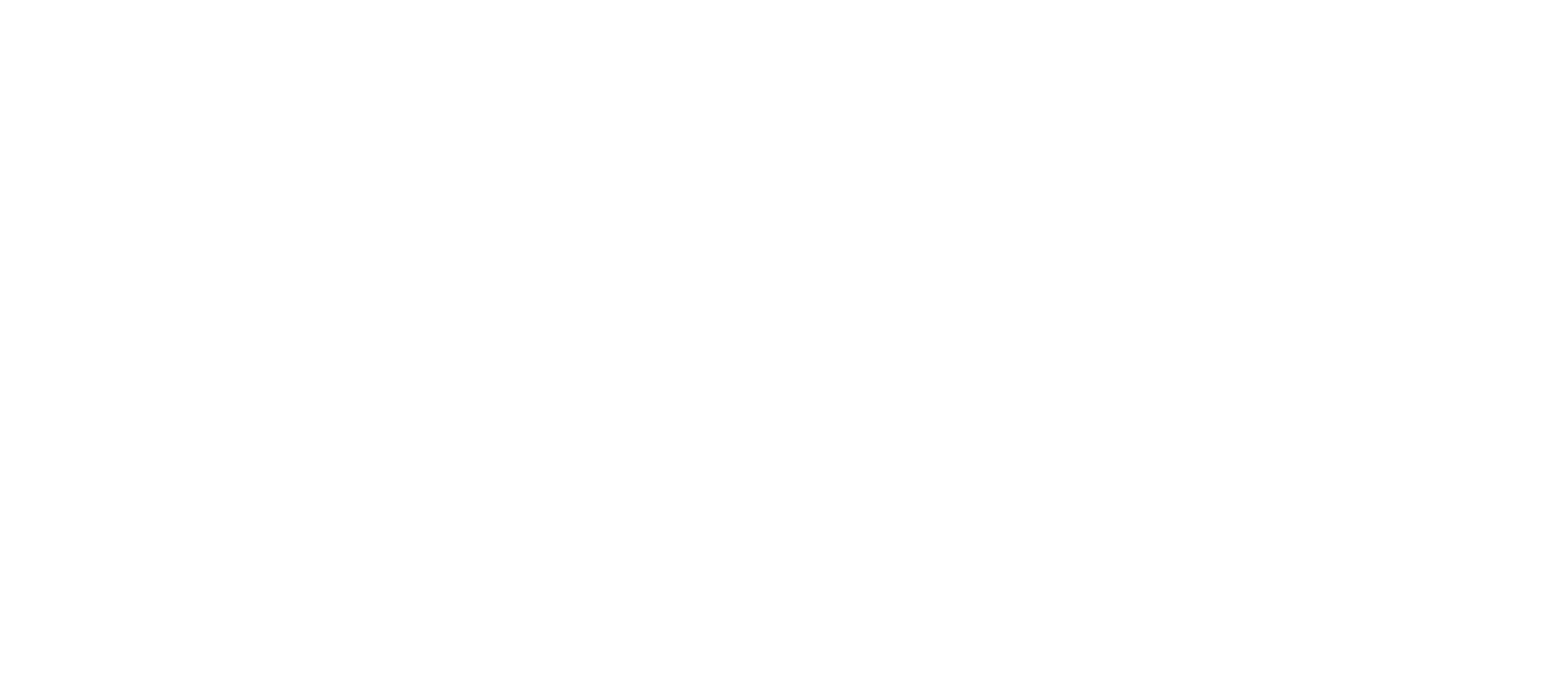 Banner Life logo
